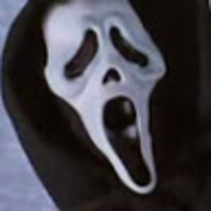 Meet your Posher, Ally